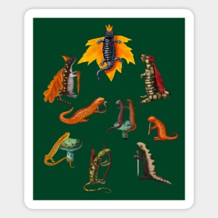 Salamanders and Newts in a Medieval Forest Kingdom Magnet